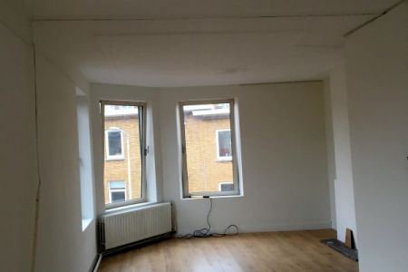 smient schilderwerken 227.JPG