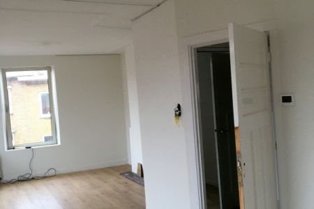 smient schilderwerken 228.JPG
